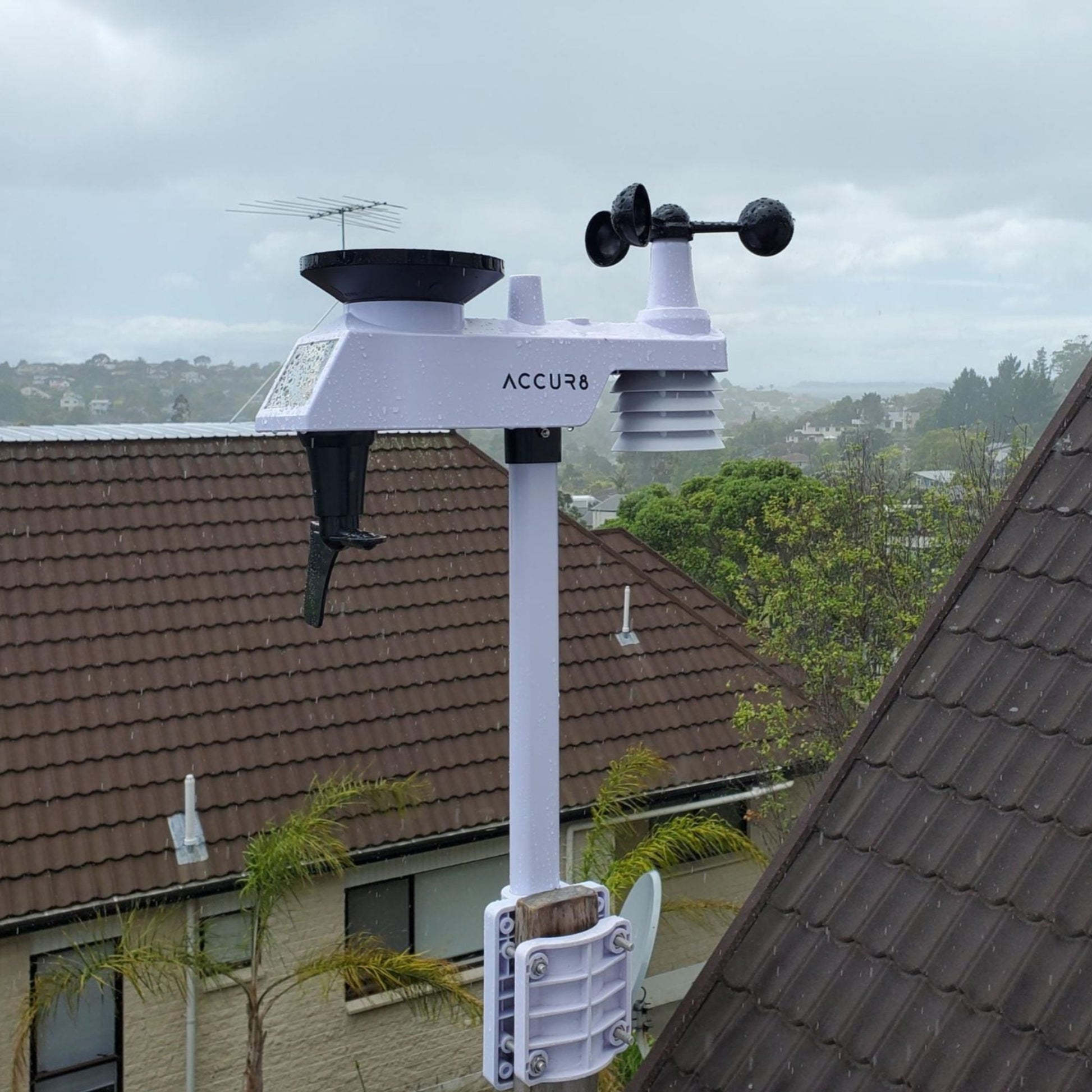 A8 outdoor sensor suite on wet Auckland day